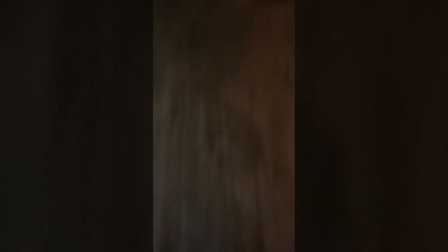 Мы с другом в пицерии с фредди!*пять ночей с фредди 1* смотреть онлайн