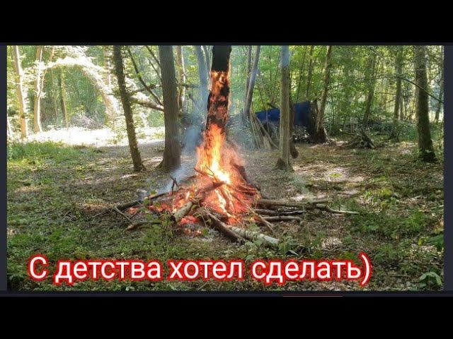 Что будет если сделать костёр вокруг сухого дерева? Не повторять, это запрещено! смотреть онлайн