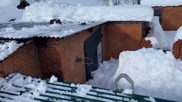 Изя с сыном раскопал культурный слой 😁. 25 января 2022 г. Раскопки в Смоленской смотреть онлайн