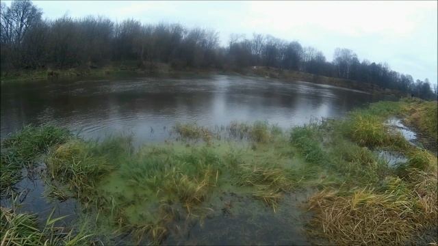 Рыбалка река Клязьма 26 октября 2019 года смотреть онлайн