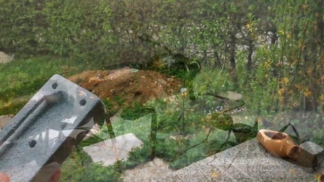 How To Make A Formicarium | DIY Ant Farm For Pet Ant Colony