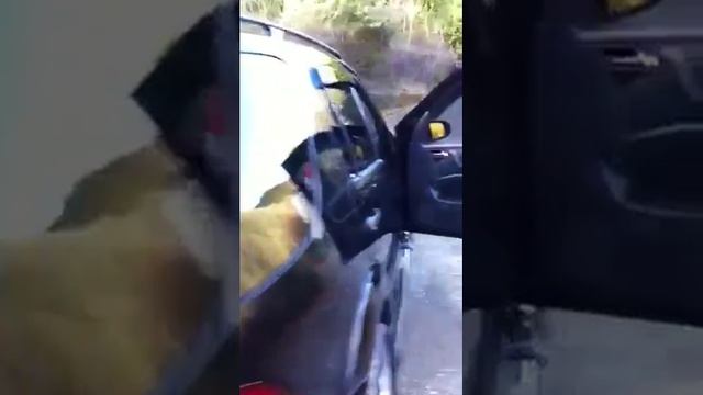 Mercedes Benz Brabus D4 смотреть онлайн