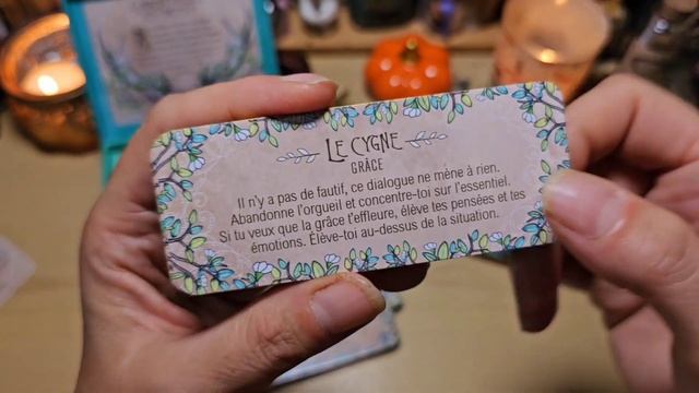 ?? Le petit oracle du druide de ma belle @EveKorrigan-Grainededen & Tirage 3 cartes?? смотреть онлайн