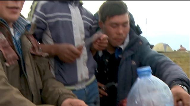ОНИ ЕДЯТ СЫРОЕ МЯСО С КРОВЬЮ смотреть онлайн