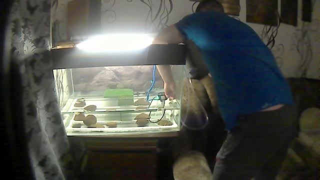 Как сделать донный фильтр для аквариума смотреть онлайн