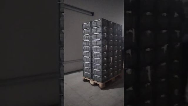Xaladelnik холодилник смотреть онлайн