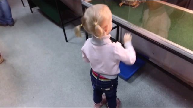 Поход в террариум, трогаем крокодила, змей , ящериц (воран, игуана, хамелион) смотреть онлайн