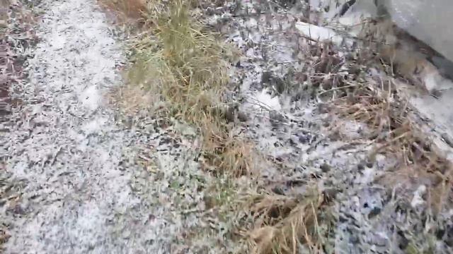 Розы укрыты, 🌹 дела огородные завершены смотреть онлайн