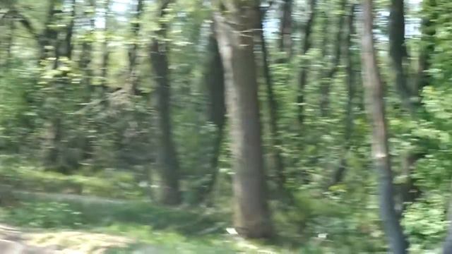 Финский залив(Лисий нос) смотреть онлайн