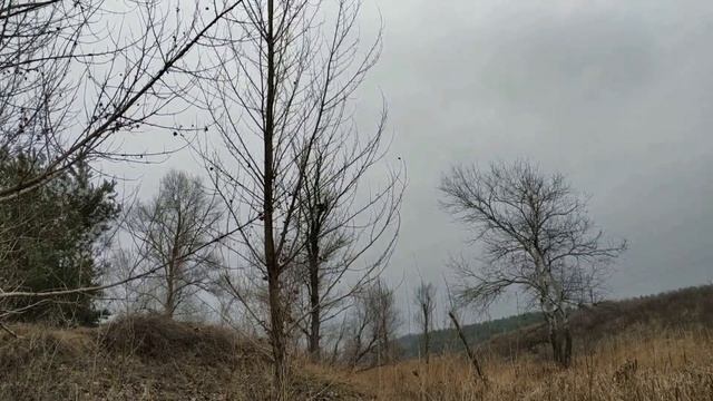 6 января праздник СОЧЕЛЬНИК . КАНУН РОЖДЕСТВА . что нельзя делать ... смотреть онлайн