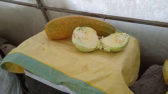 Куры падают на ноги. смотреть онлайн