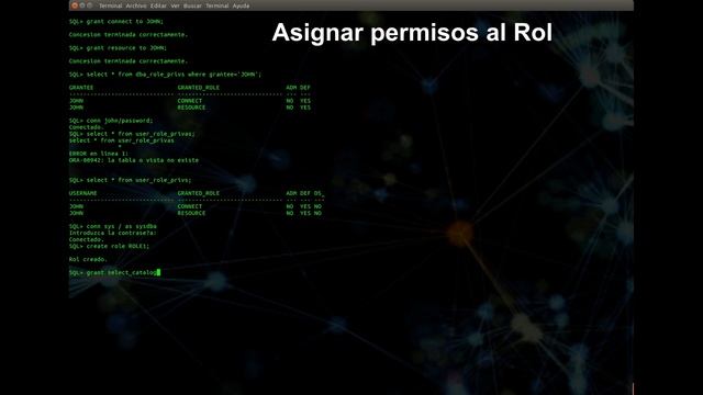 Oracle 11g Usuarios, Perfiles y Roles смотреть онлайн