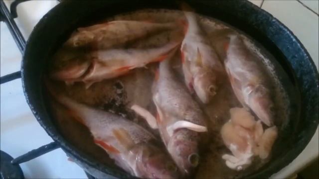 Уха на сковороде смотреть онлайн