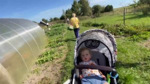 День с реборном Лимом в деревне Копаем картошку с ЛиамомтПриехали в деревню с реборнами