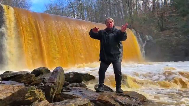 Master Florin D. Szondi Chen Style Taijiquan. Unbelievable demonstration and control. смотреть онлайн