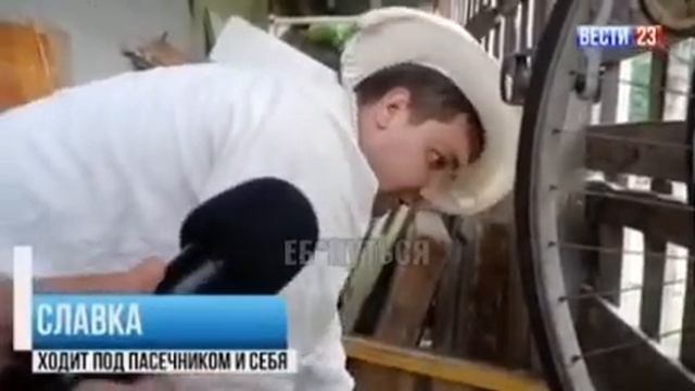 Пчелы добрые, сегодня не кусают смотреть онлайн