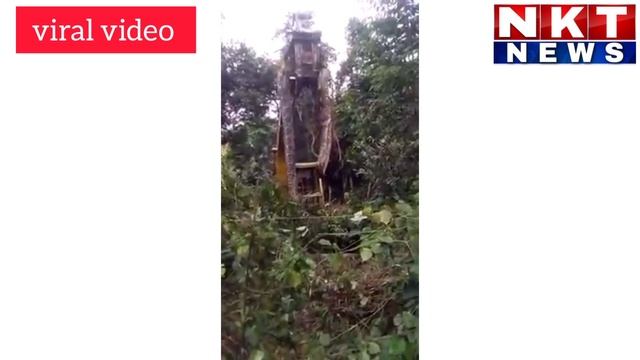 20-feet-long giant python bites zookeeper in a spine-chilling viral ...@nktnewskannada9789 #python смотреть онлайн