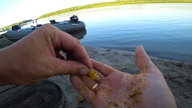 ДОЖДАЛСЯ! Нашёл свое счастье ,ОН ПРИШЁЛ! Мой личный рекорд на закидушки! Рыбалка с ночёвкой . смотреть онлайн