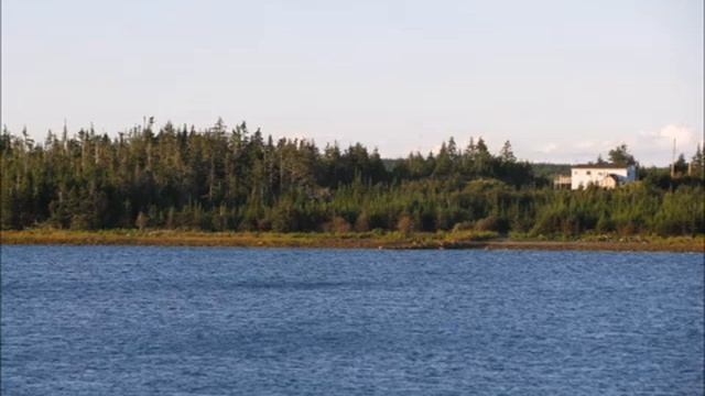 Our Labor Day Vacation To My Moms Part 2 смотреть онлайн