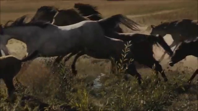 Ludovico Einaudi - Run смотреть онлайн