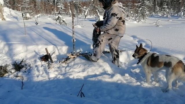 .Бобр добыт.Счастье далеко за МКАДом.ОХОТА на БОБРА. КП-320 в работе. смотреть онлайн