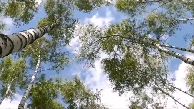 "Солдат, солдат, ты воевал не зря" - исп. В. Сухарев смотреть онлайн