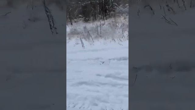 Покатушки на снегоходе , самый маленький водитель Артём смотреть онлайн