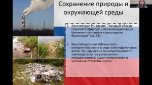 11 класс. Обществознание. Конституционные права и обязанности человека и гражданина