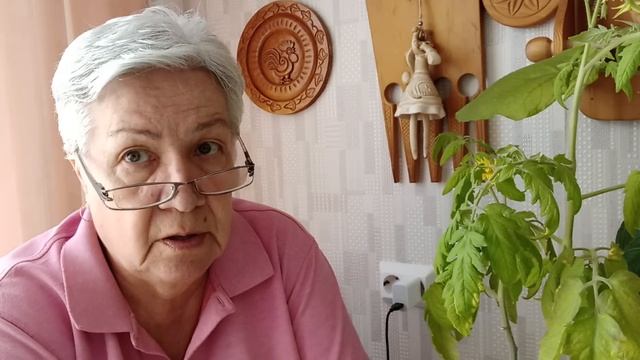 881. Напоминалочка. Только для томатов. смотреть онлайн
