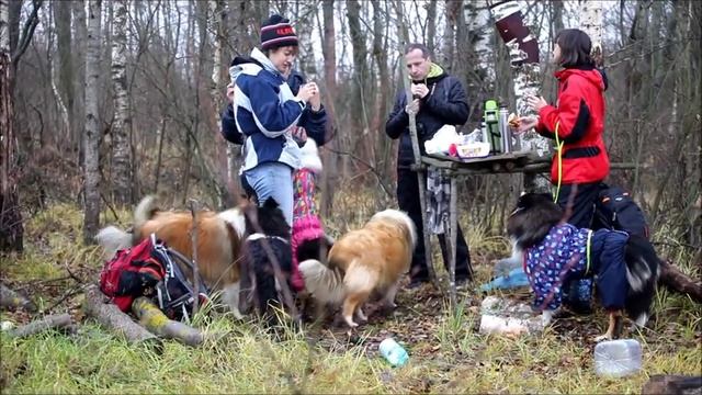 Покровка смотреть онлайн