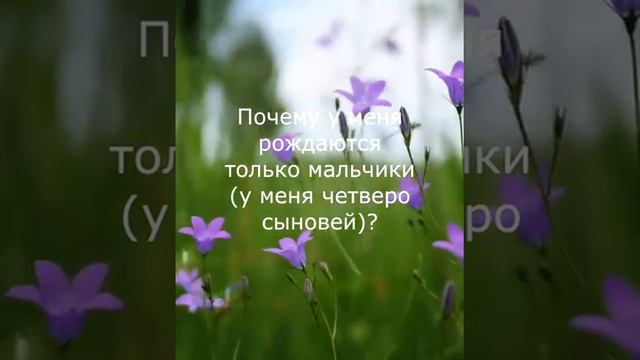 Почему у меня рождаются только мальчики (у меня четверо сыновей)? смотреть онлайн