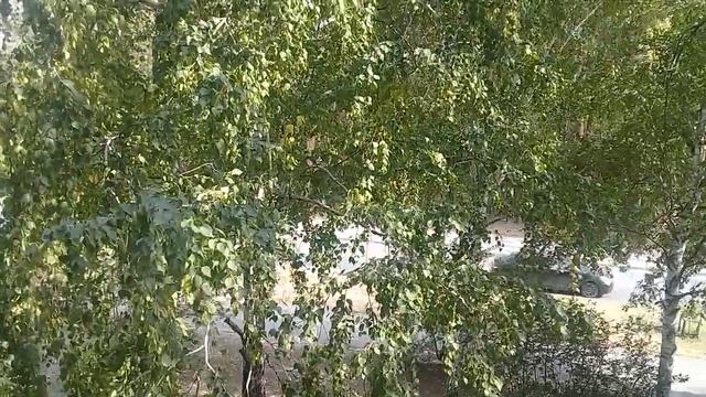 В гостях у Самвела / Самвел в постели с Артемом / ужин с друзьями !!! смотреть онлайн