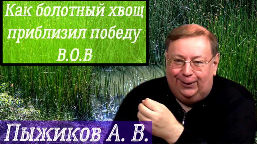 Болотный хвощ. смотреть онлайн