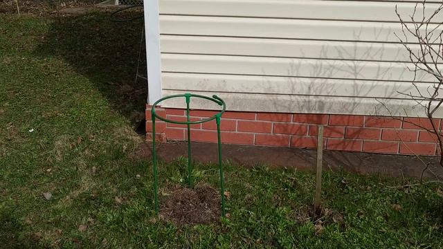 Сезон 7. Май 2.05.2022 Посадила лук, капусту и много всяких растений. смотреть онлайн