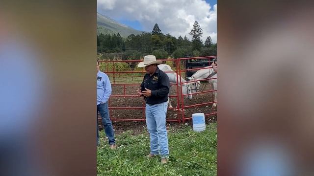 Conocimos LA SUIZA DE MEXICO! Arteaga, Coahuila, TOUR COMPLETO! смотреть онлайн