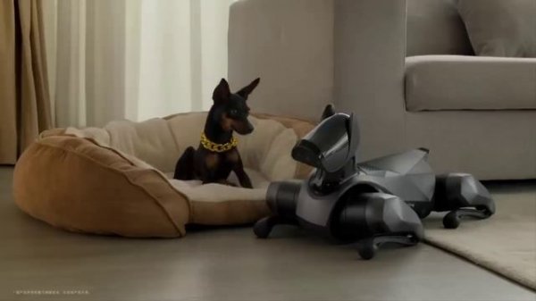 Xiaomi представила CyberDog 2 (2023)