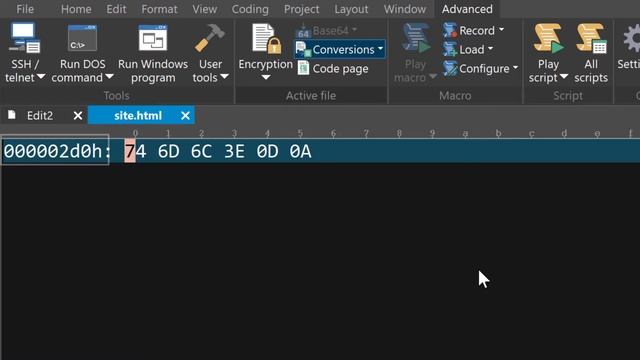 UltraEdit's Hex Editor | Binary File Editor