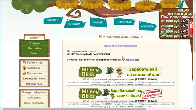 Как заработать на Money Birds (Мани Бердс) - секреты, фишки, практические советы!