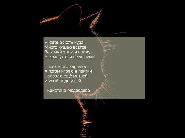 я котёнок хоть куда