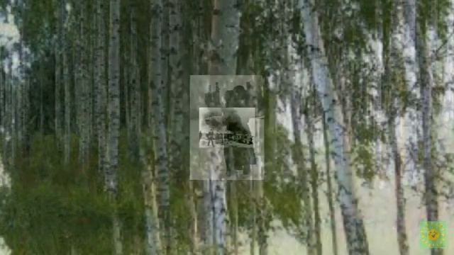 Плачет белая береза смотреть онлайн