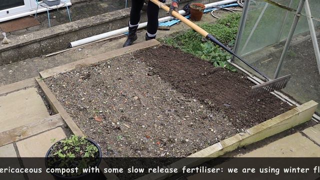 HOW TO PLANT A HEATHER BED FROM SCRATCH - WINTER FLOWERING HEATHERS смотреть онлайн