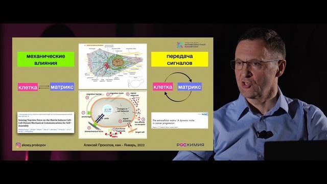 SKIN BIOLOGY 2 сезон: Эпизод 8. Матрикс жизни: ценность матрикса дермы для практической косметологи смотреть онлайн