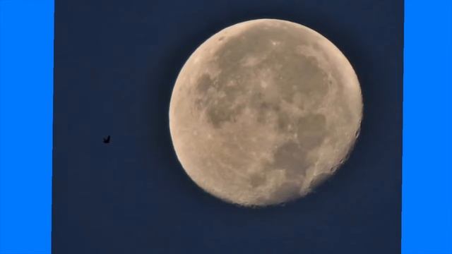 Осенние мотивы смотреть онлайн