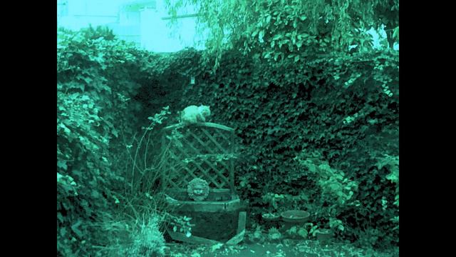 Twinkly post-rock Sunday done in an hour смотреть онлайн