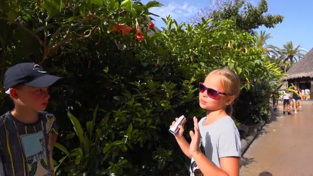 24 часа Денис говорит МИЛАНЕ ДА // ЧЕЛЛЕНДЖ / МИЛАНА РУЛИТ смотреть онлайн