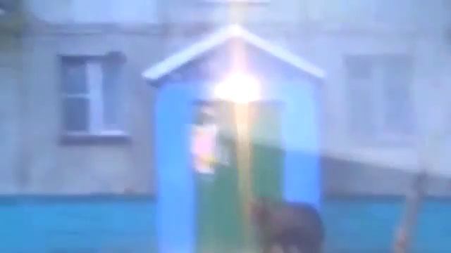 Медведи тусуются на улицах, смотреть срочно! Жесть..) смотреть онлайн