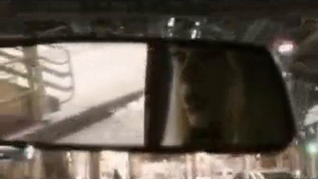 Amanda Somerville - "My Song For You" смотреть онлайн