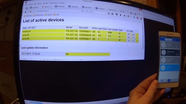 Реле Sonoff - одновременная работа с собственным сервером и EWeLink