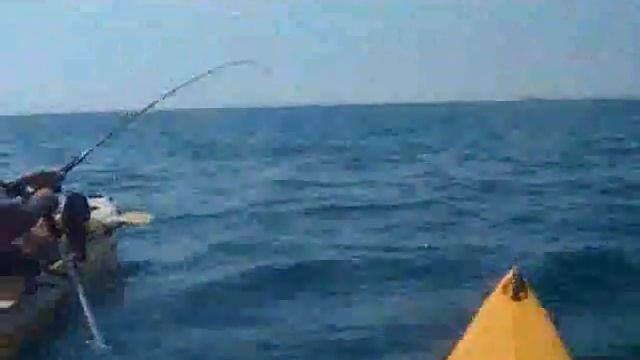 KAYAK FISHING for Kingfish 25 pounds смотреть онлайн