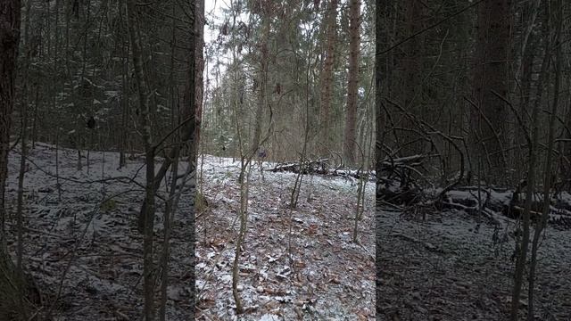 прогулка продолжается..